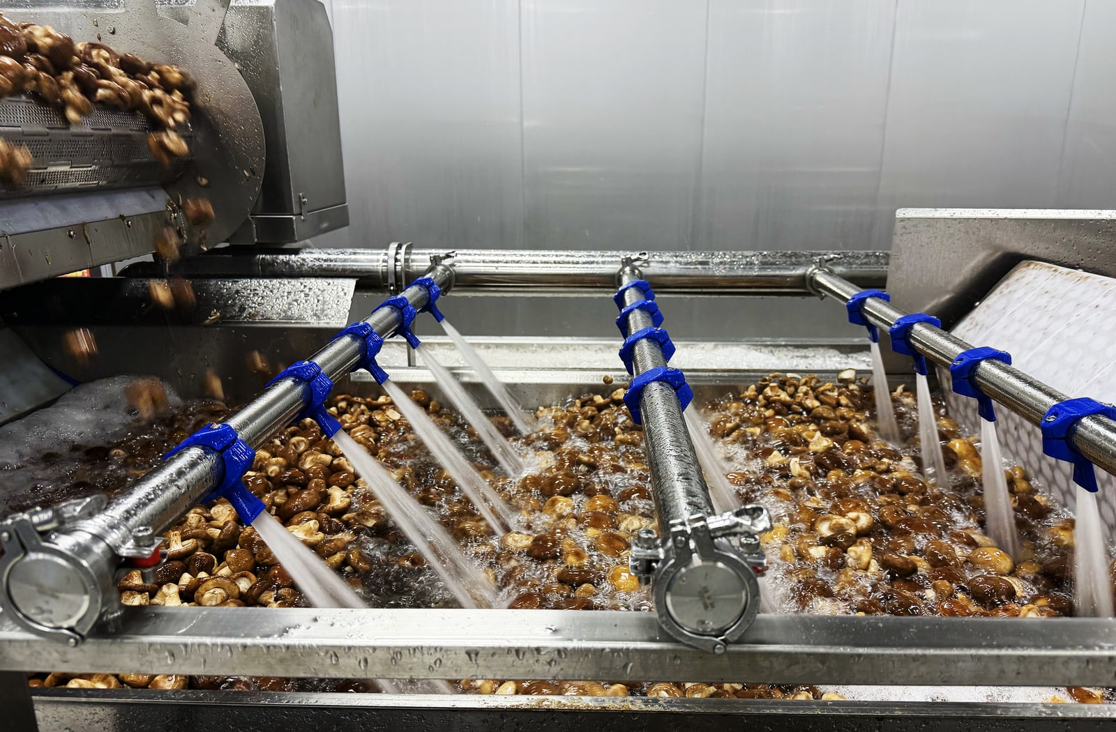 Fruit pre-treatment equipment for washing and preparation steps