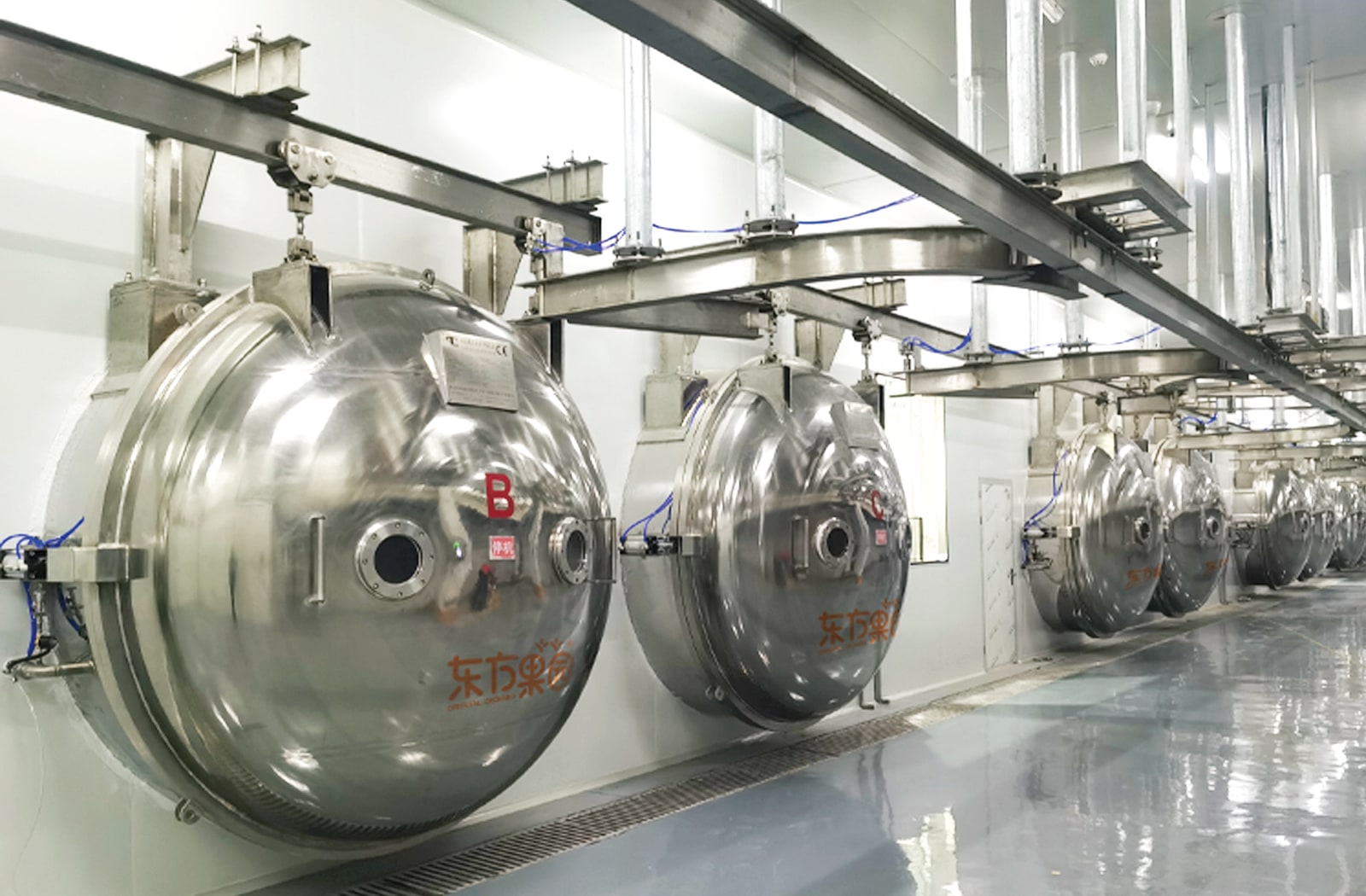 Freeze-drying equipment in a clean production workshop